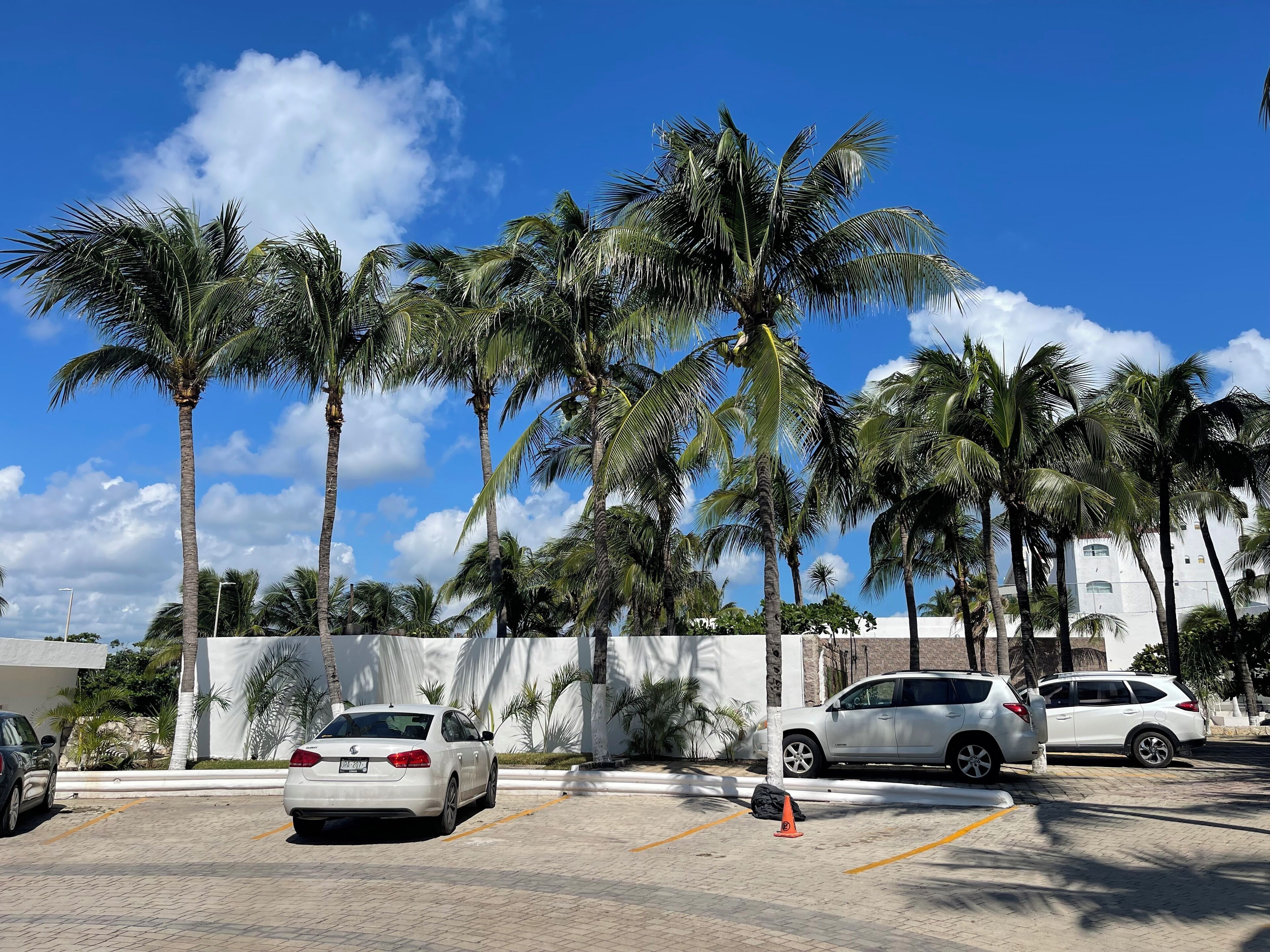 Ein Parkplatz mit weißen Autos, Palmen und einem Gebäude mit heller Fassade.