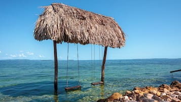A thatched-roof structure with swings over clear water.