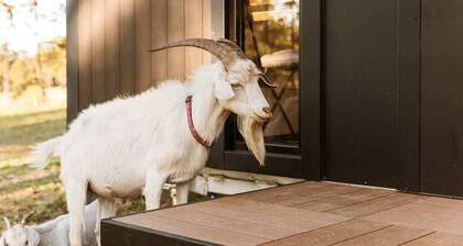 Three-Kalm by Tiny Away