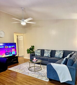 Smart TV, fireplace, books