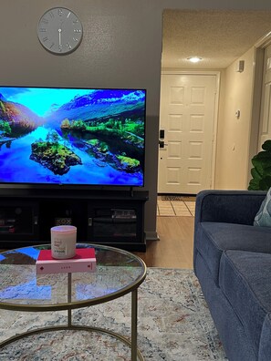 Smart TV, fireplace, books