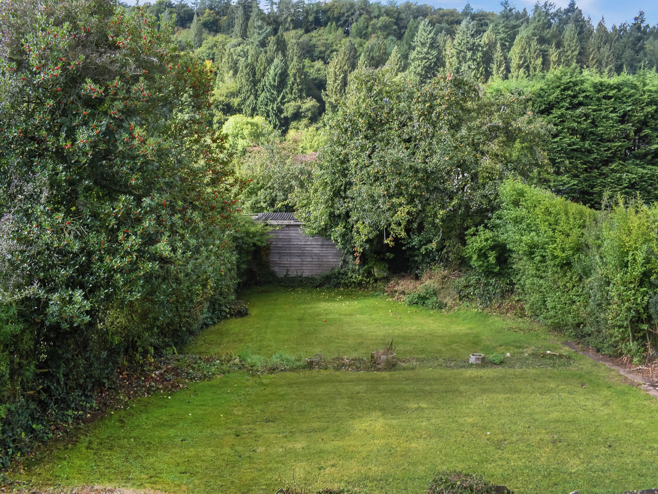 A lush garden with a wooden structure, surrounded by dense foliage and a well-maintained lawn.