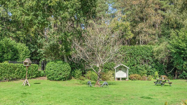 Een gazon met buitenruimte, een vogelhuisje, een tuinhuisje en een picknicktafel.