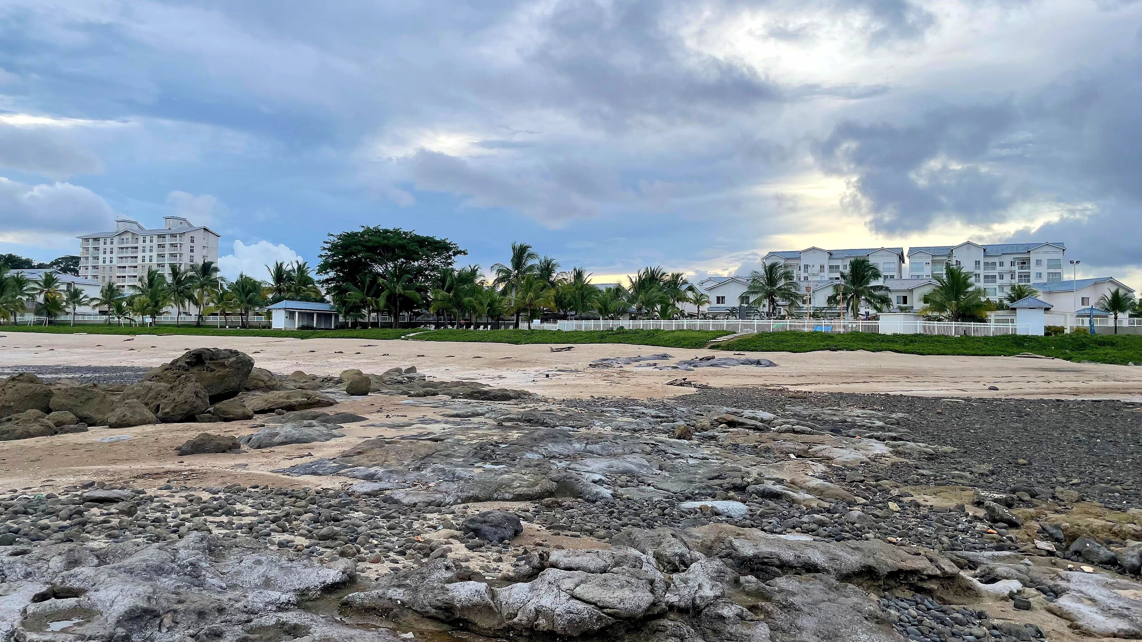 Une plage avec un terrain rocheux et des palmiers.