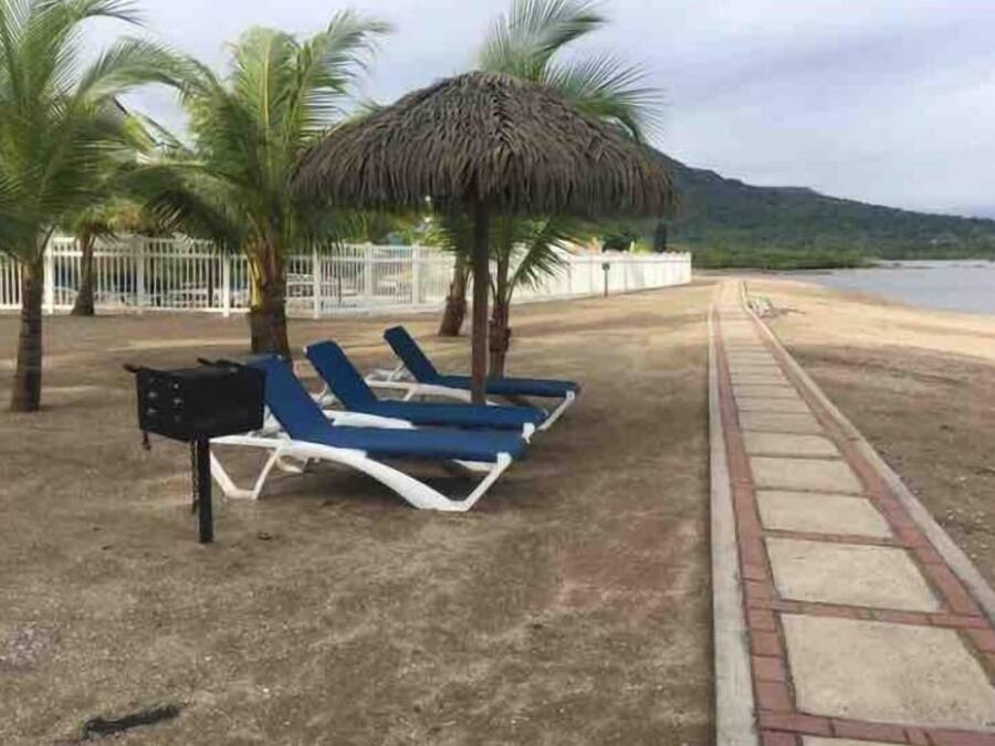 A beachside lounge area with sun loungers and a thatched umbrella, palm trees, and a white fence.
