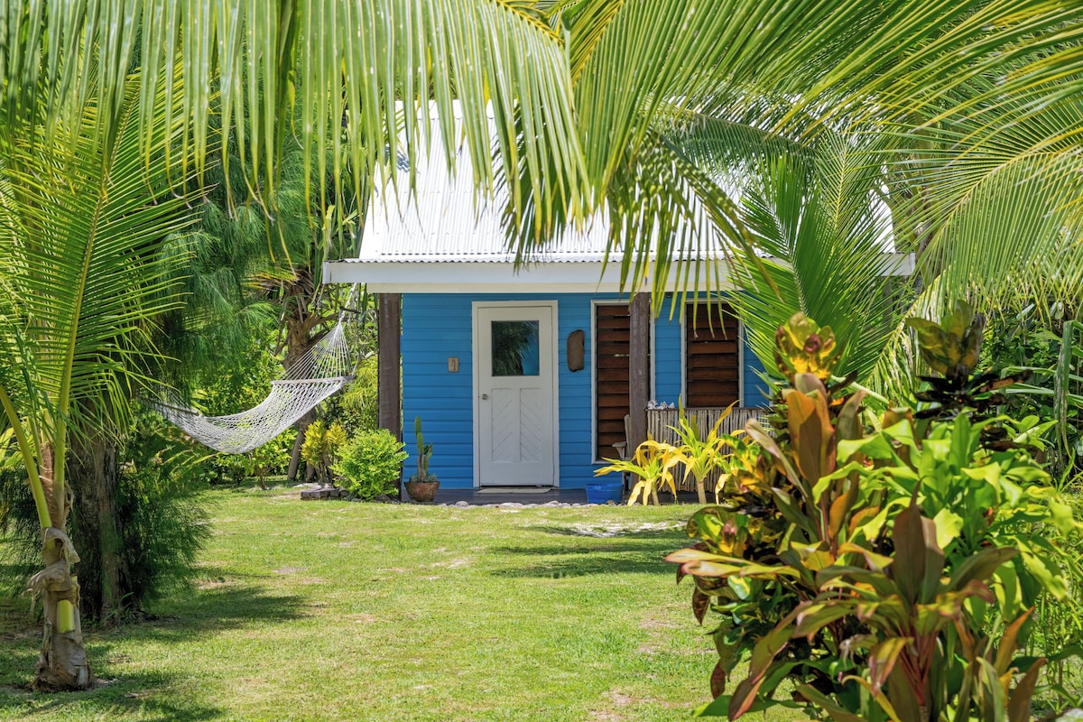 Uma pequena casa azul com porta branca, cercada por vegetação exuberante e uma rede.