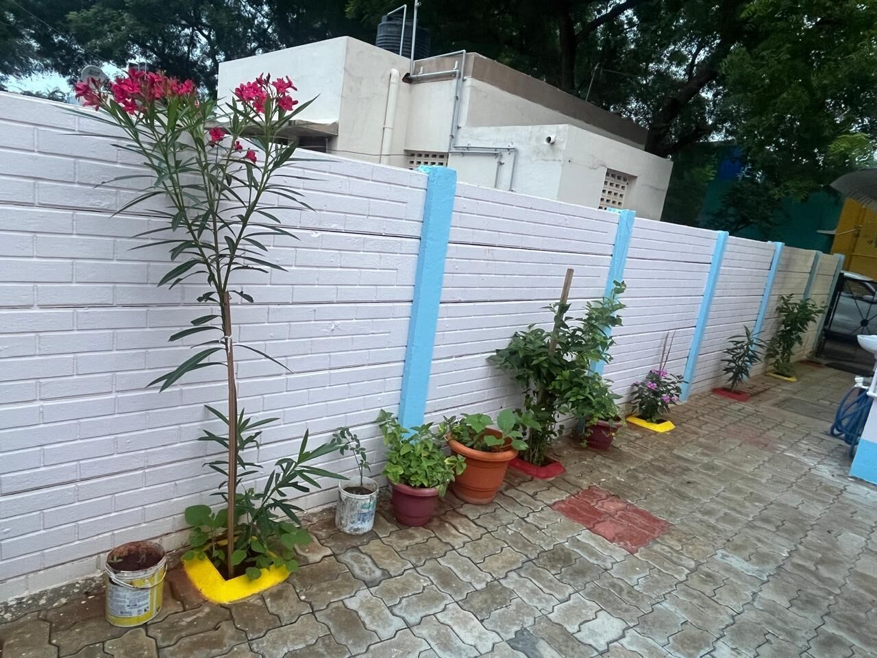 Una hilera de plantas en macetas a lo largo de un muro de ladrillo blanco con detalles verticales azules.