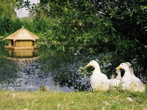 Terrain de l’hébergement 