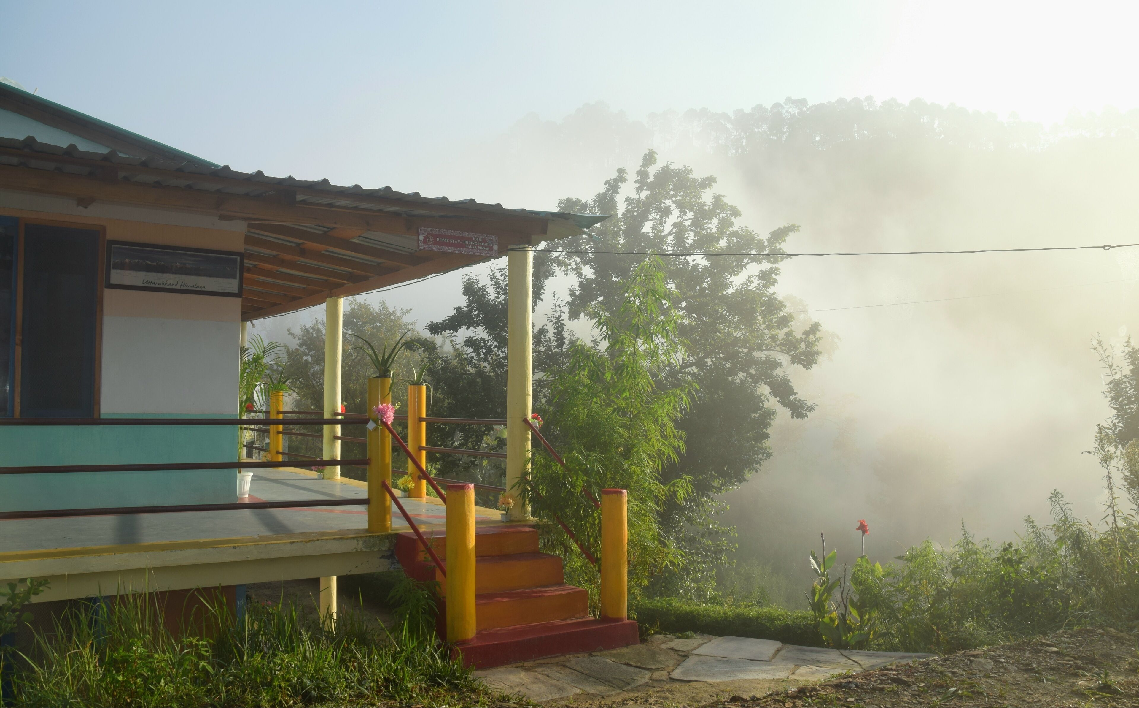 Un edificio con una escalera que lleva a un porche, rodeado de follaje y niebla.