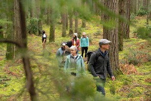 Wandern