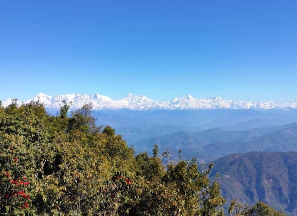 View from property - The Himalayan Heaven Homestay Binsar (Almora)