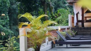 Un espace aménagé au bord de la piscine, avec des chaises longues et un palmier.