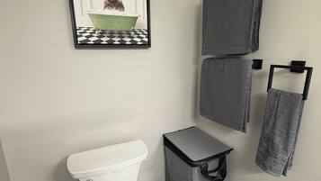 Regadera, secadora de cabello, jabón