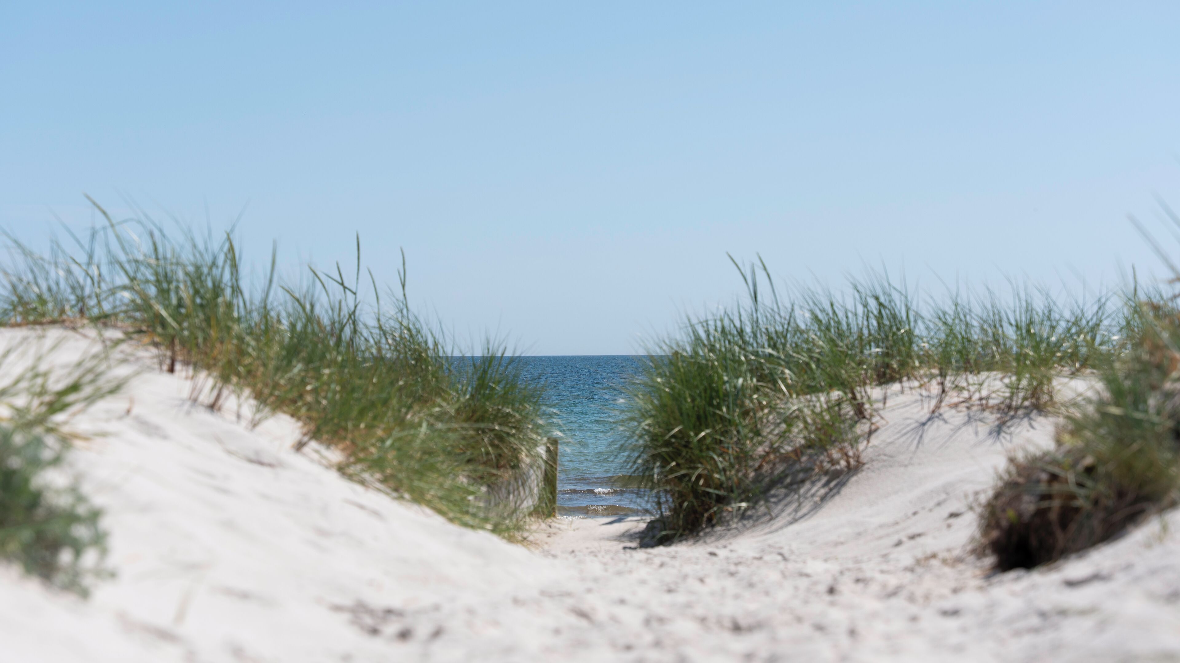 Nyilvános parton és fehér homok