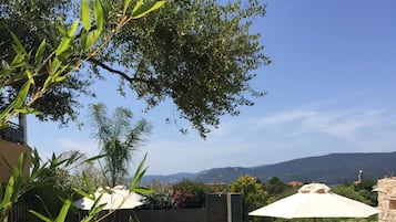 Outdoor pool, pool umbrellas, pool loungers