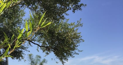 residence Guddelmoni