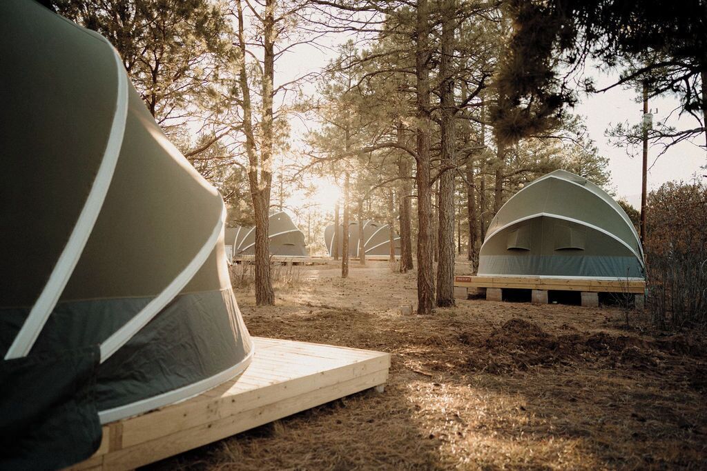 A row of dome-shaped tents in a forested area with sunlight filtering through the trees.