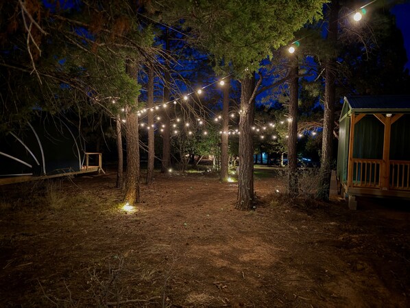 المنطقة المحيطة بالمنشأة