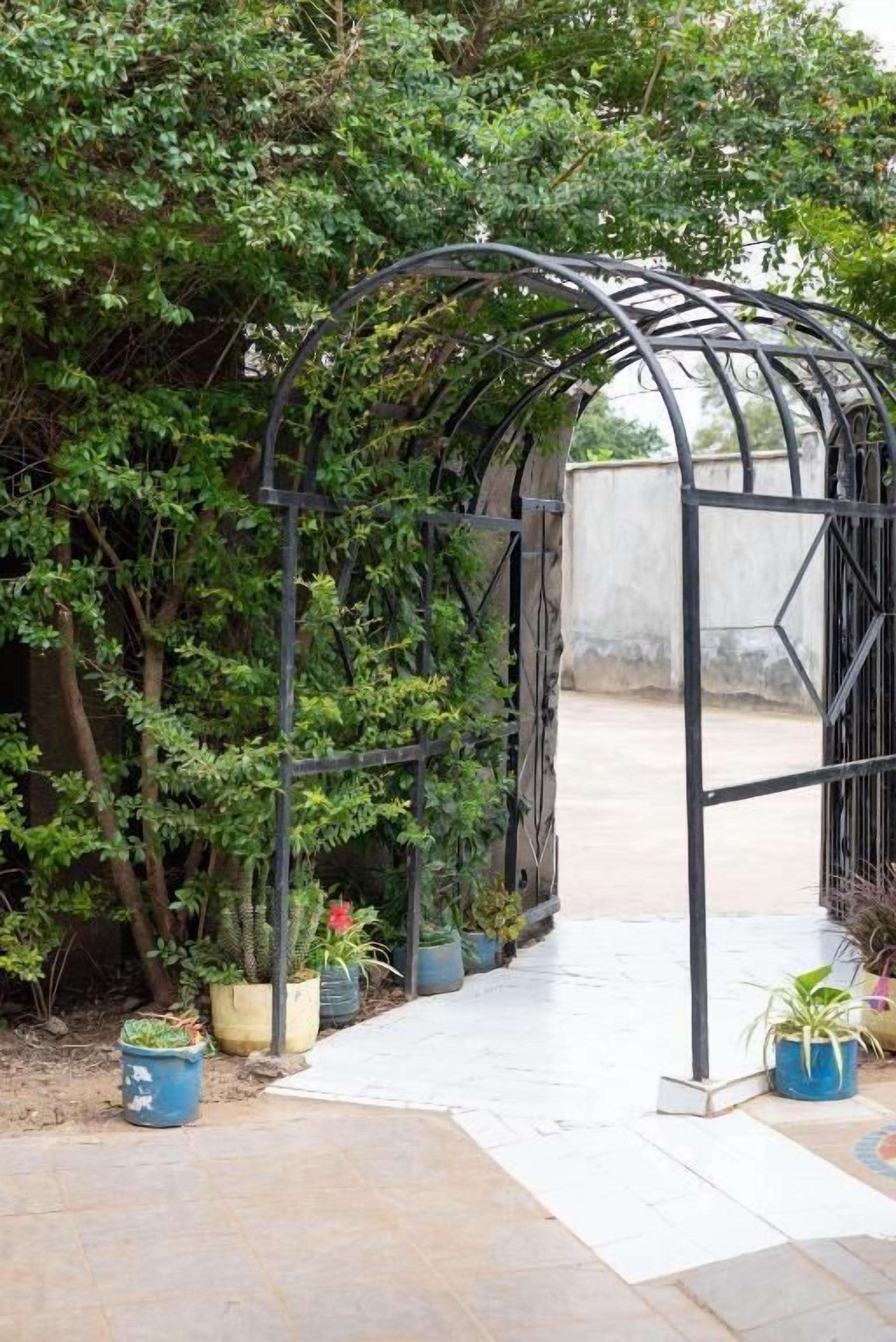 A metal archway with climbing plants, surrounded by potted plants on a tiled patio.