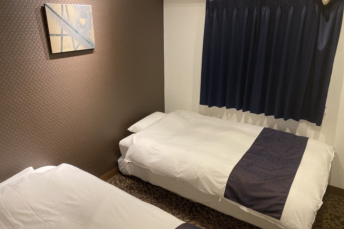 Habitación con 2 camas individuales | Wifi gratis