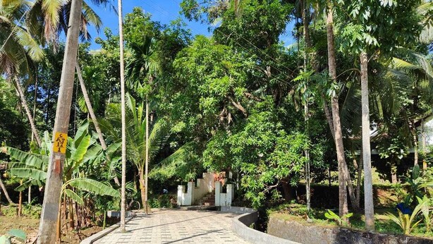 A paved pathway leading to a building with a gated entrance, surrounded by lush greenery and tall trees. - Vilayara Heritage Retreat (Kozhikode)