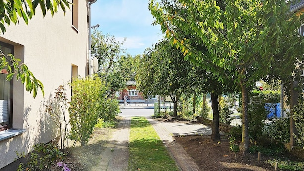 A narrow pathway flanked by trees and a building with a window.