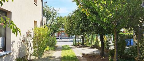 Área da propriedade