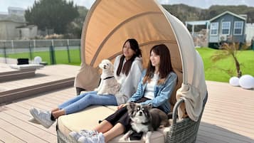 Comodidades da propriedade