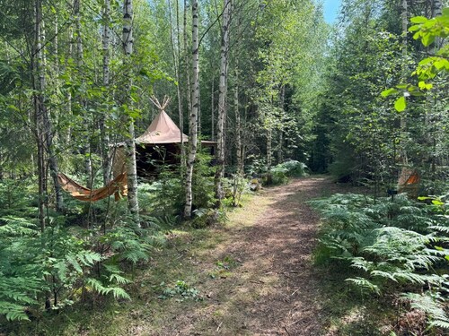 Pure nature in the "Skogsanda" tipi - your retreat in Sweden's wilderness