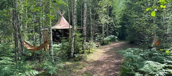 Pure nature in the "Skogsanda" tipi - your retreat in Sweden's wilderness