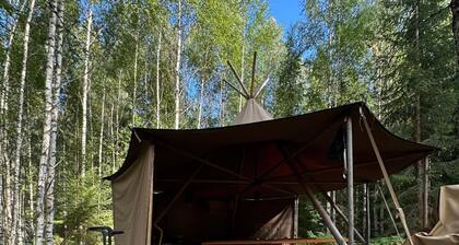 Pure nature in the "Skogsanda" tipi - your retreat in Sweden's wilderness