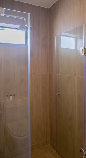 Shower, hair dryer, towels, shampoo