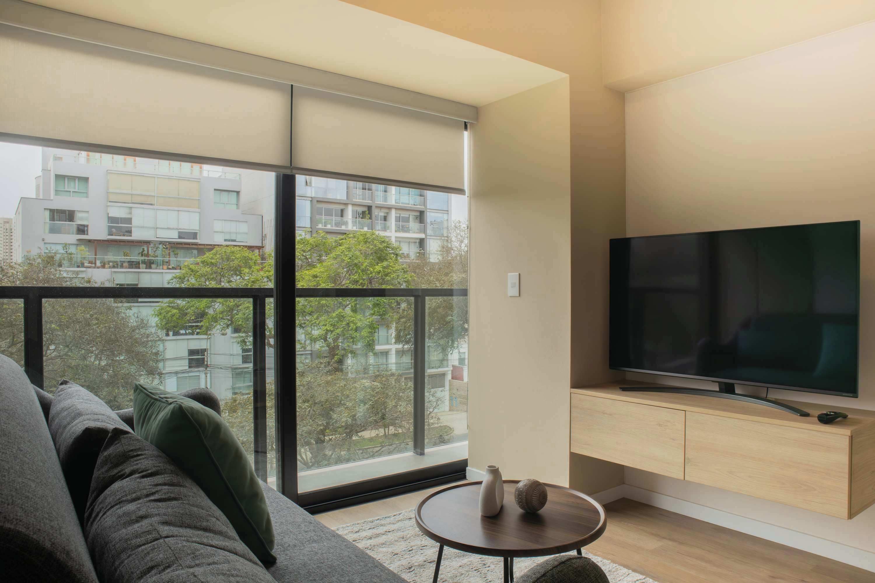 Televisor 