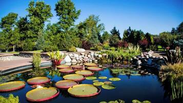 Jardines del alojamiento