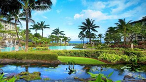 Terrain de l’hébergement 