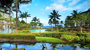 Terrain de l’hébergement 