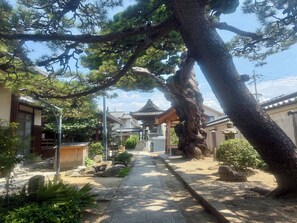 A traditional Japanese garden with a pathway, stone lanterns, and a large tree. - Sanada Maru (Kaizuka)