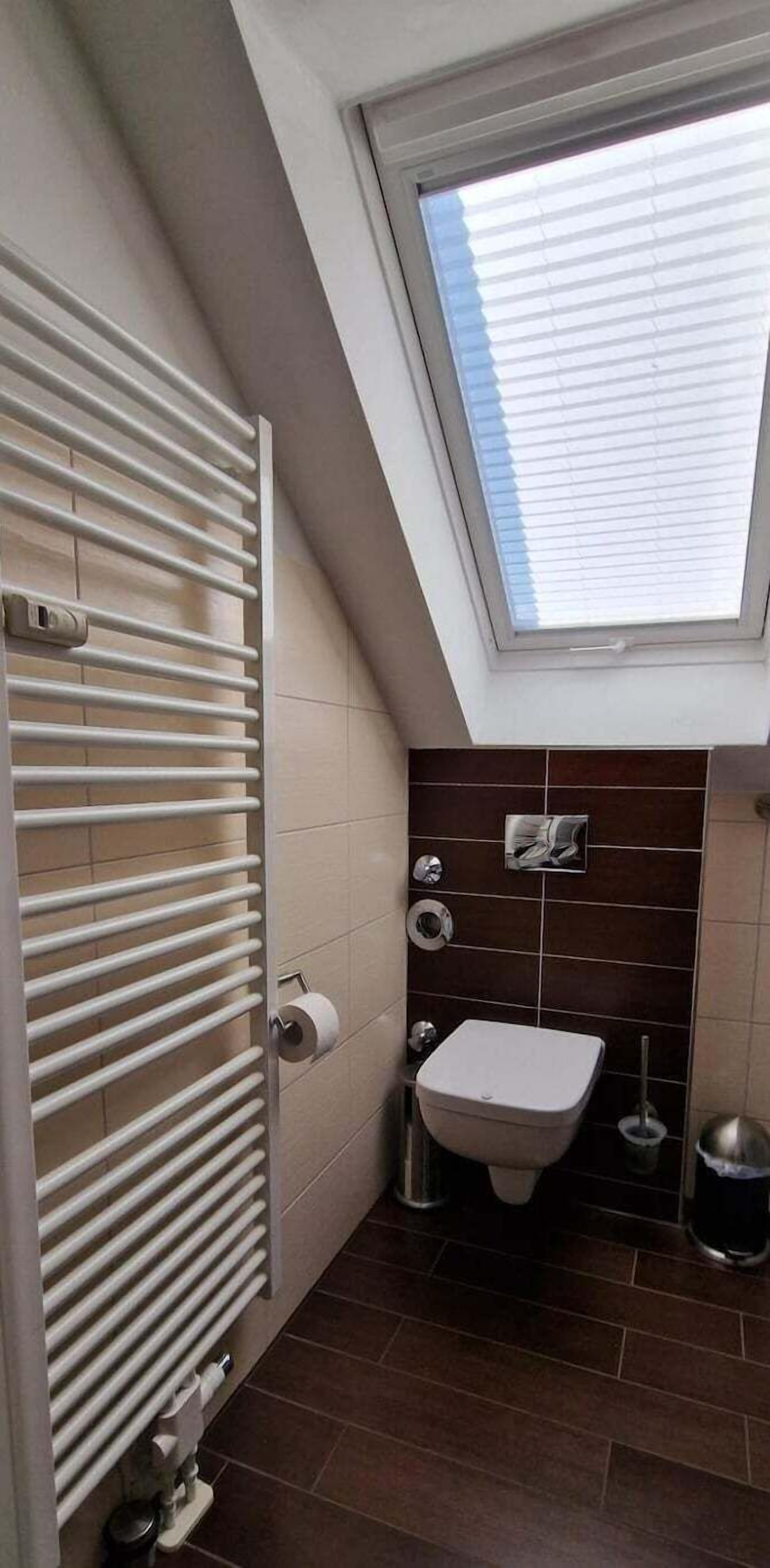 A modern bathroom with a skylight, a radiator, a toilet, and a sink.