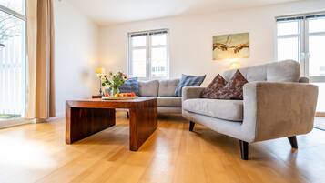 TV, DVD player, stereo