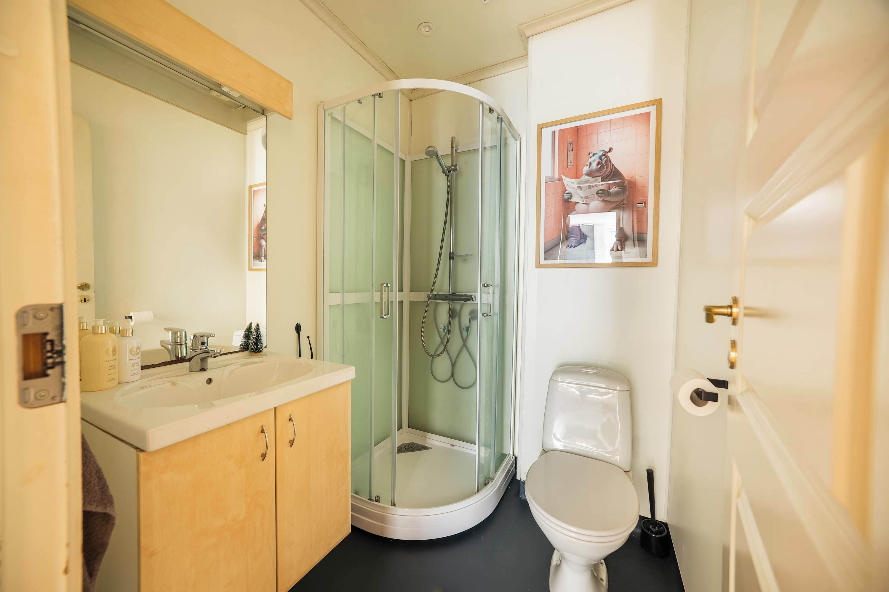 Shower, hair dryer, towels, shampoo