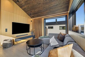 Fernseher, Stereoanlage
