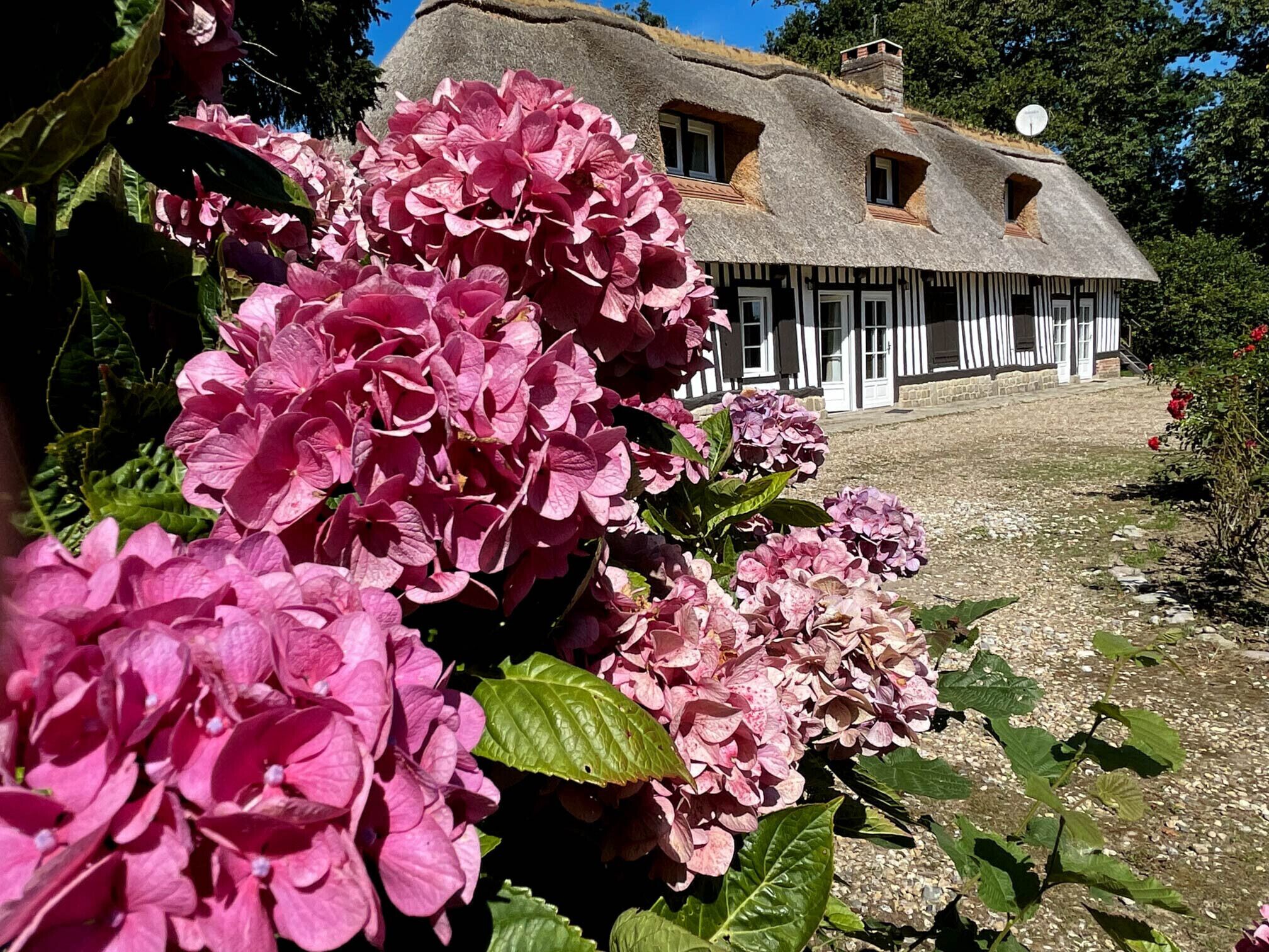 Details aan de buitenkant