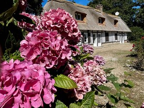 Détail de l’extérieur