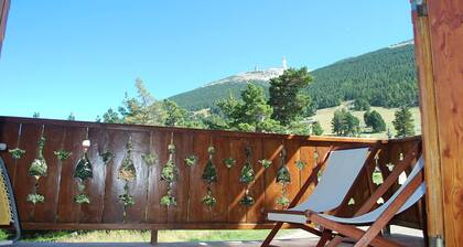Chalet 'Mont Ventoux' avec vue sur la montagne, terrasse privée et jardin privé