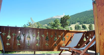 Chalet 'Mont Ventoux' with Mountain View, Private Terrace and Private Garden