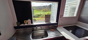 Microwave, oven, stovetop
