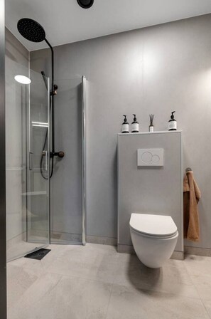 Hair dryer, towels, soap, toilet paper