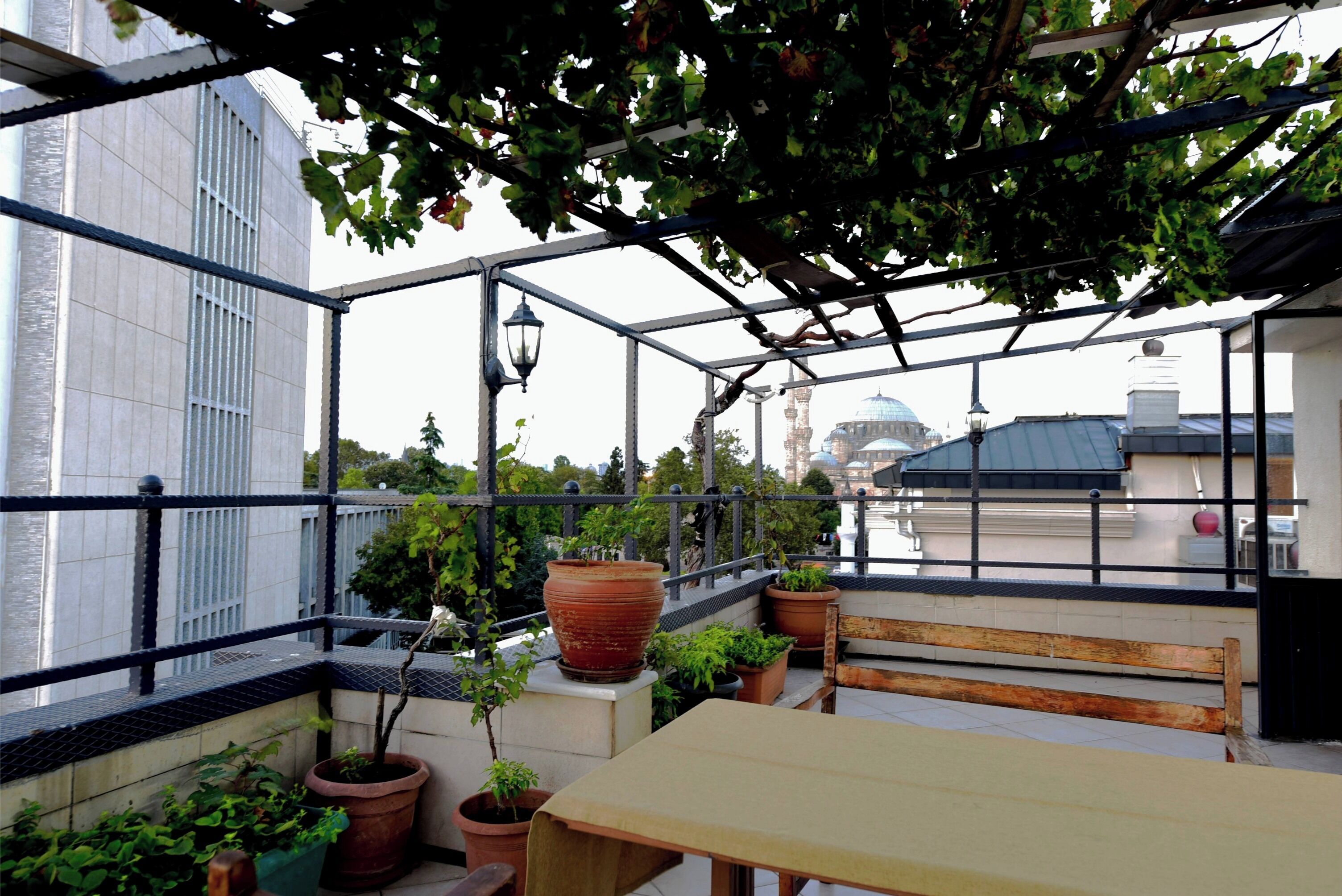 Rooftop terrace