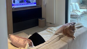 Un soggiorno moderno con una televisione che mostra un notiziario, un divano con un cane e vista sul patio esterno.