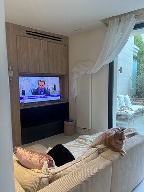 Téléviseur connecté, foyer, livres